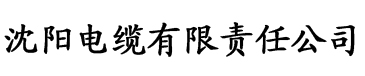 亚洲Aⅴ片不卡无码久久嫩模电缆厂logo